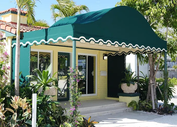 The Palm Rose